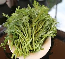 Chinese chrysanthemum greens