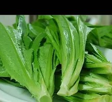 Oilseed lettuce