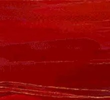 Sturgeon and Pork Rib Pot