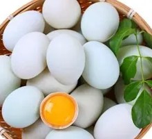 新鲜生鸭蛋