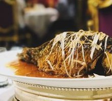 Carp Bouncing in Net