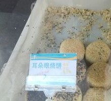 耳朵眼烧饼