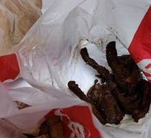 Black Duck Neck Bones