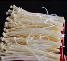 Enoki Mushroom