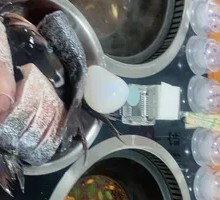 8-pound Big Flower Pot Stew