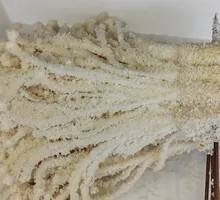 Tofu Skin with Enoki Mushrooms