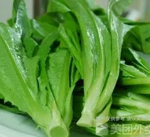 Oilseed lettuce