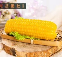 香甜玉米棒子