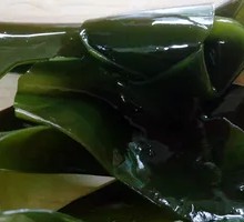 Kelp