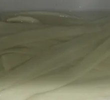 麻辣烫小宽粉