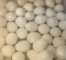 Quail Egg