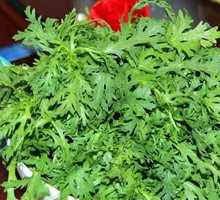 Chinese chrysanthemum greens