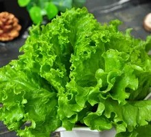 Romaine Lettuce