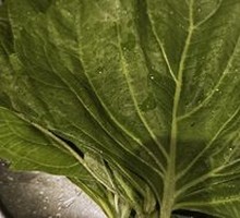 Perilla Leaf