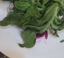 Ice Plant