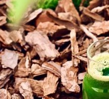 Kale and Green Apple Salad