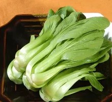 Chinese cabbage