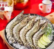 Large Shrimp