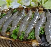 Large Shrimp