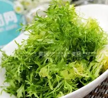 Eruca Salad