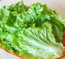 Romaine Lettuce