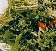 Mixed bitter lettuce salad