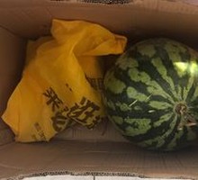 Watermelon