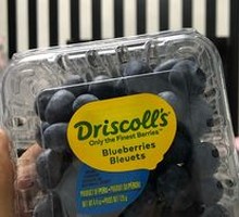 Blueberry