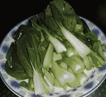 Chinese cabbage