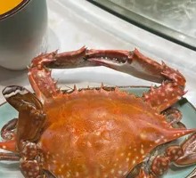 Full-Yolk Sea Crab