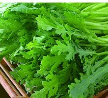 Chinese chrysanthemum greens