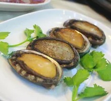 Abalone