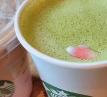 樱花初绽抹茶拿铁