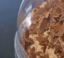 Molten Dark Chocolate Mocha Frappuccino