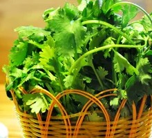 Cilantro
