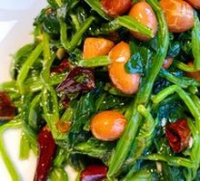 脆果仁绿菠菜