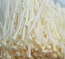 Enoki Mushroom