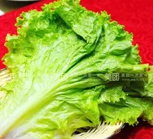 Romaine Lettuce