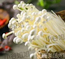 Enoki Mushroom