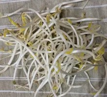 Bean sprouts