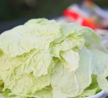 Chinese cabbage