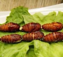 Silkworm pupae