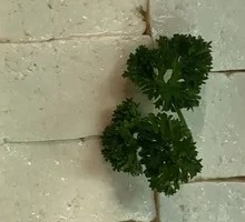 Braised Tofu in Spiced Sauce