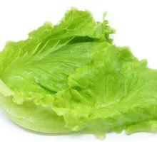 Blanched lettuce