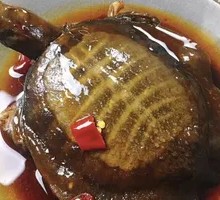 Spicy Softshell Turtle