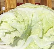 Chinese cabbage