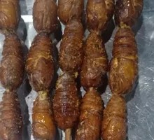 Roasted Cicada Larvae