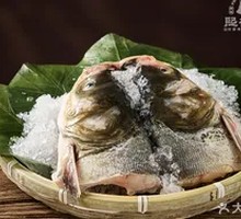 Reservoir Bighead Carp Head