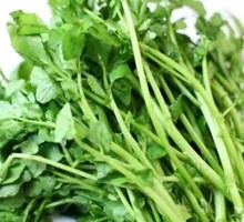 Watercress