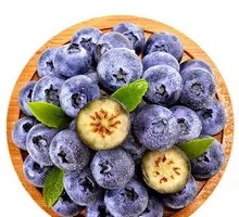 Fresh Blueberries
